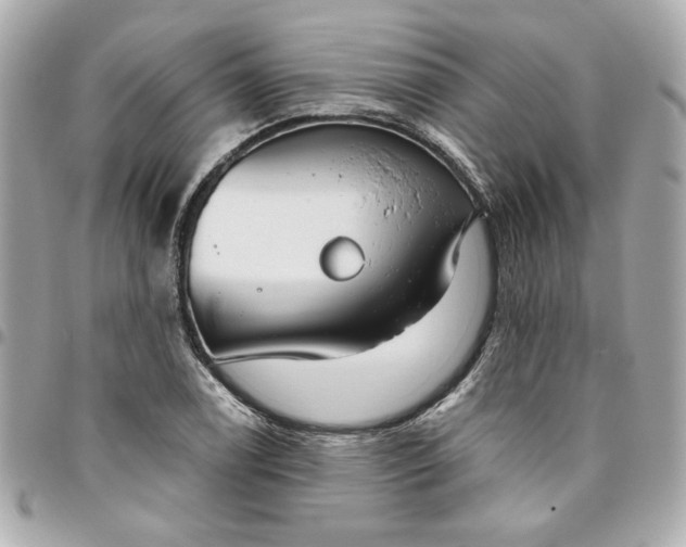 X0000096491122200802071936