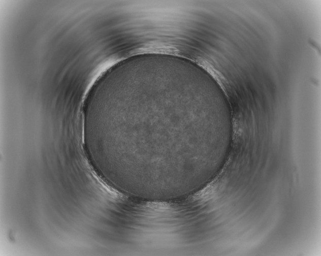 X0000096491123200802071936