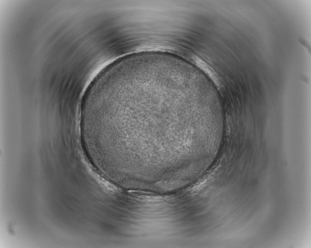 X0000096491124200802071936