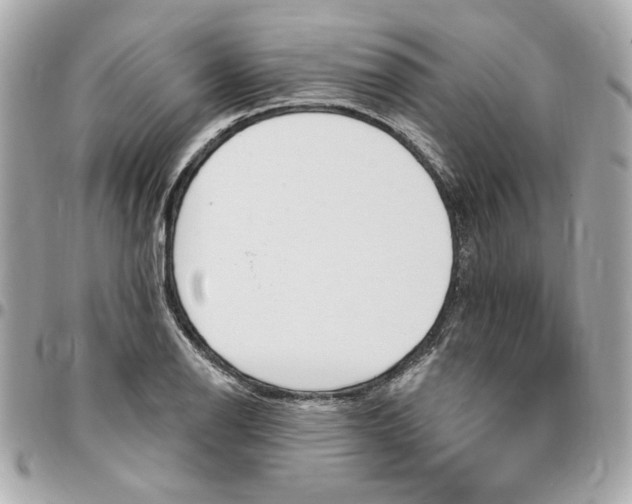 X0000096491126200802071936