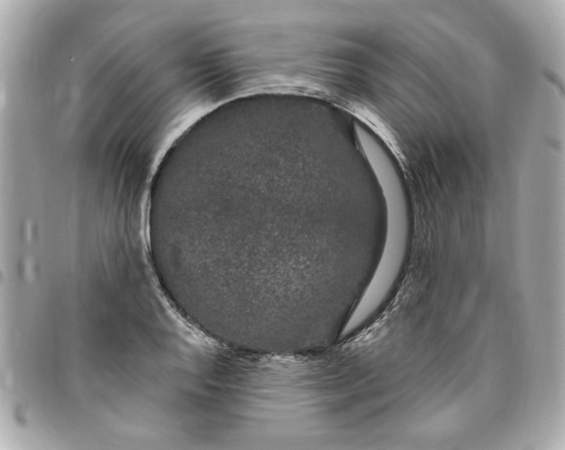 X0000096491128200802071936