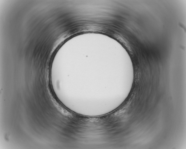 X0000096491130200802071936