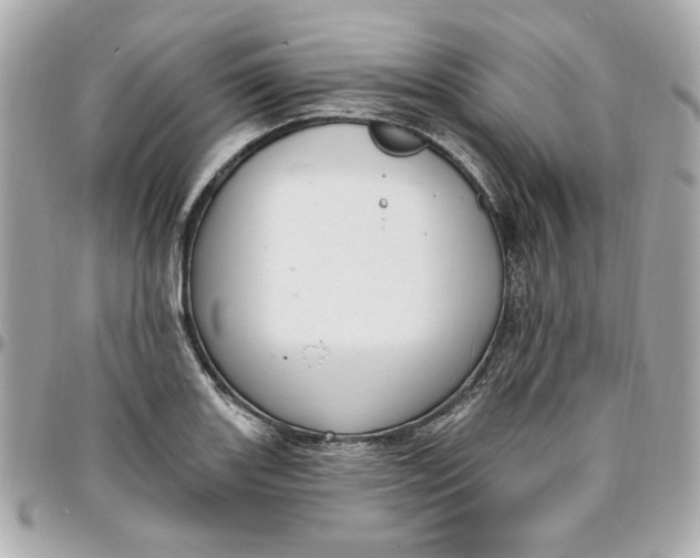 X0000096491131200802071936