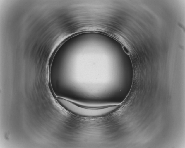 X0000096491132200802071936