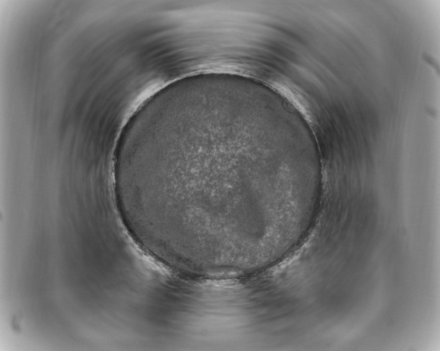 X0000096491133200802071936