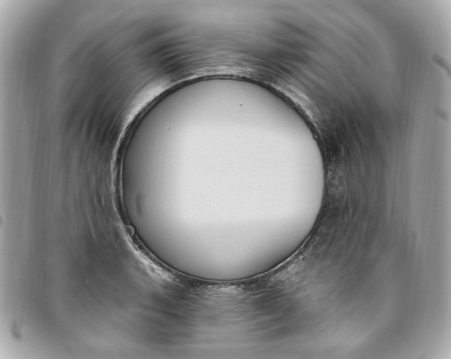 X0000096491135200802071936