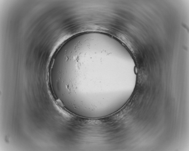 X0000096491136200802071936