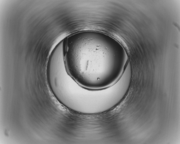 X0000096491138200802071936