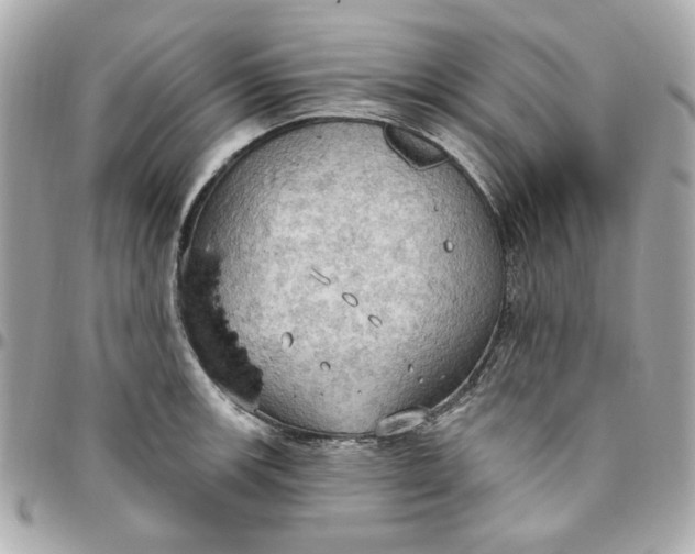 X0000096491139200802071937