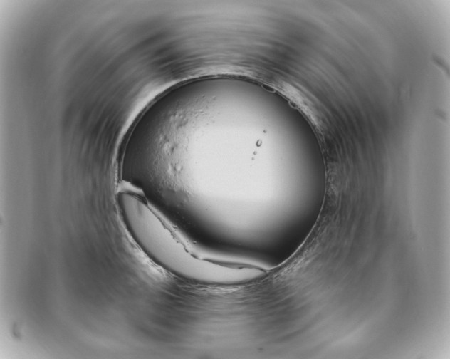 X0000096491140200802071937