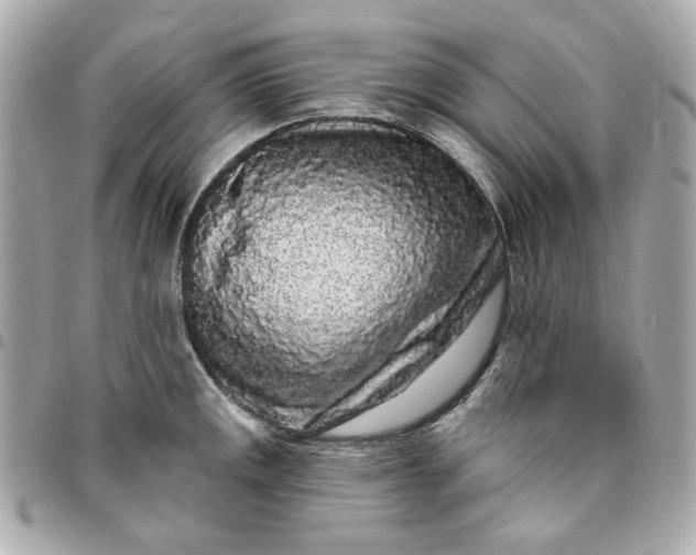 X0000096491141200802071937