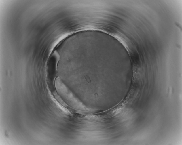 X0000096491142200802071937