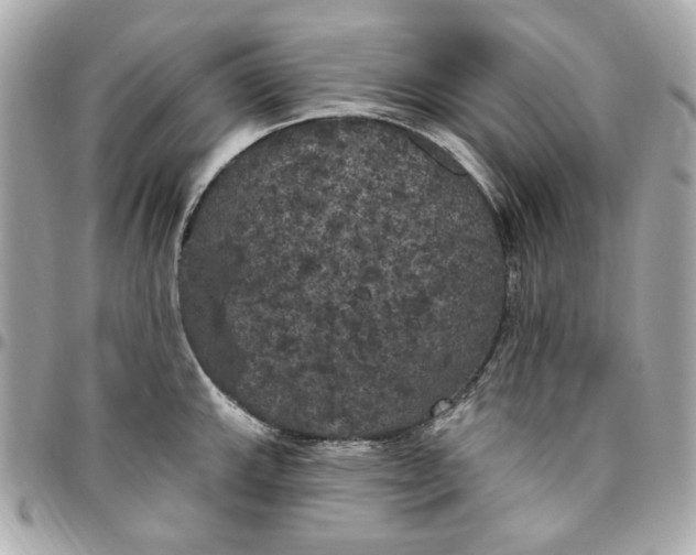 X0000096491143200802071937