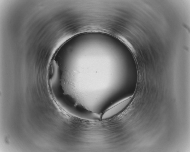 X0000096491144200802071937