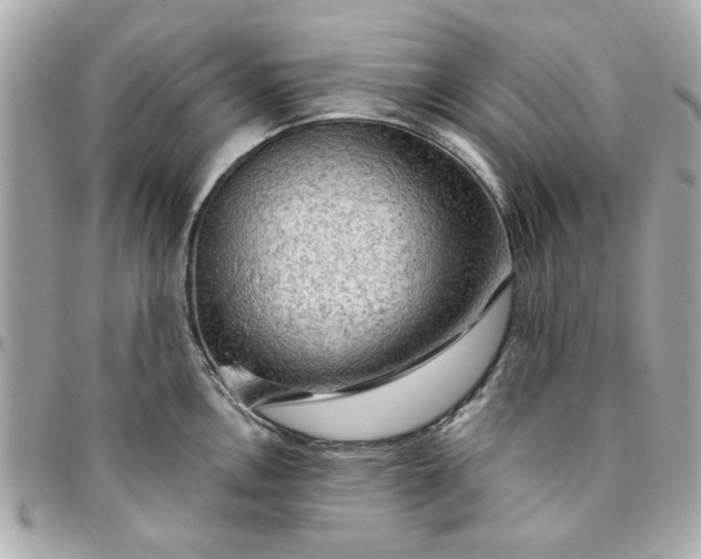 X0000096491146200802071937