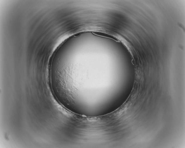 X0000096491147200802071937