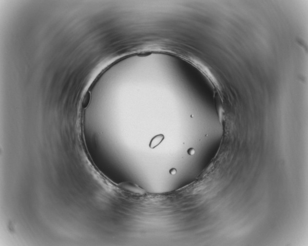 X0000096491148200802071937