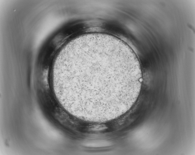 X0000096491150200802071937