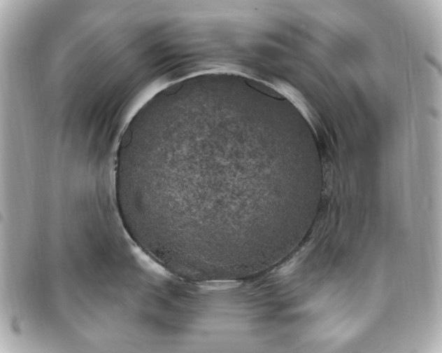 X0000096491151200802071937