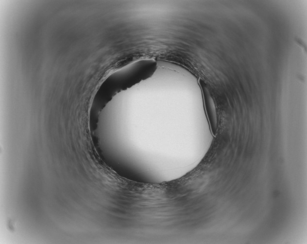 X0000096491153200802071936