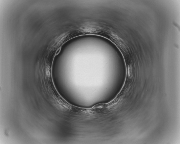 X0000096491155200802071936