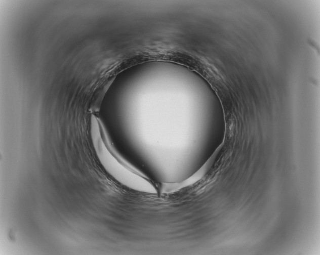 X0000096491156200802071936