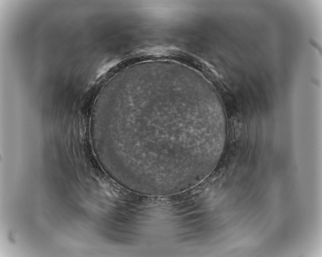 X0000096491158200802071936