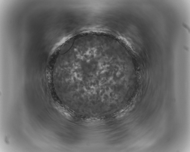 X0000096491159200802071936