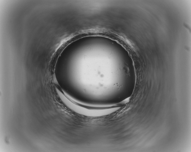 X0000096491160200802071936