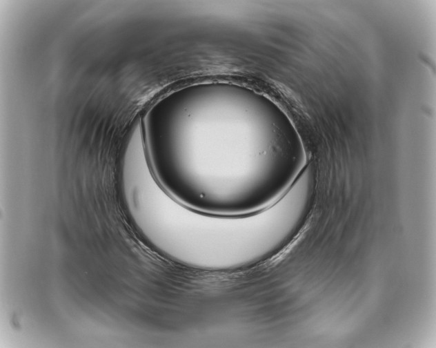 X0000096491161200802071936