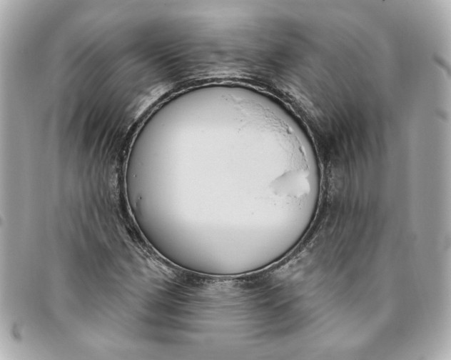 X0000096491162200802071936