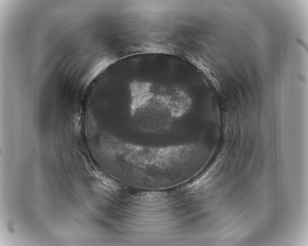 X0000096491163200802071936