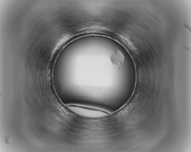 X0000096491164200802071936