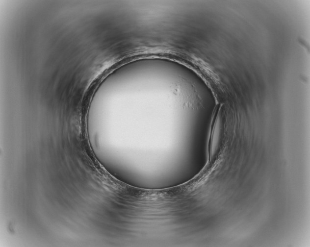 X0000096491165200802071936