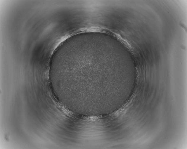 X0000096491166200802071936