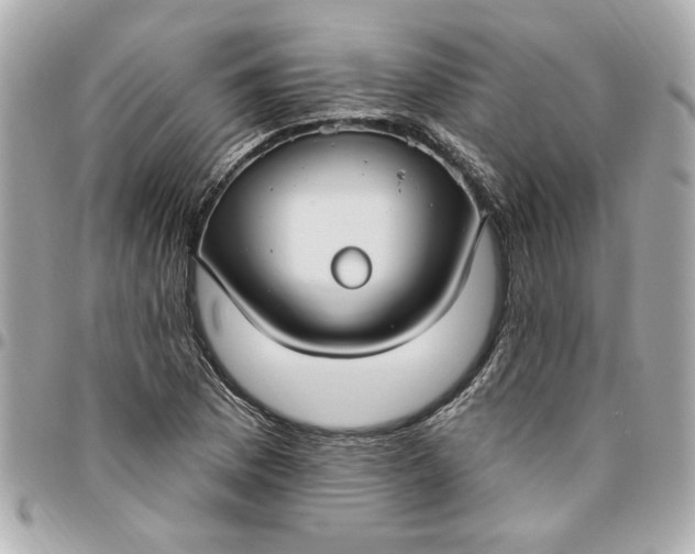 X0000096491169200802071936