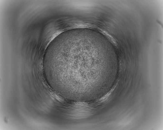 X0000096491170200802071936