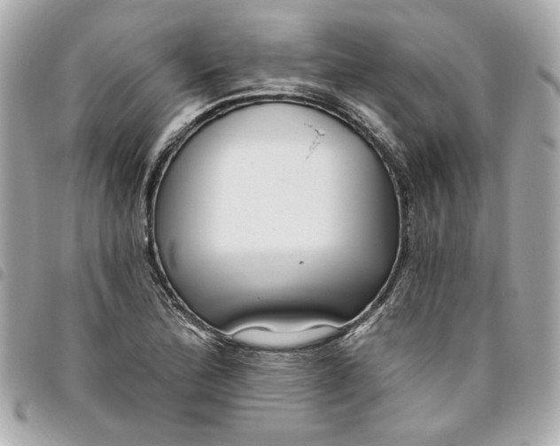 X0000096491172200802071936