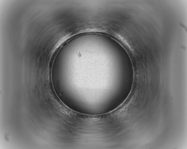 X0000096491173200802071936