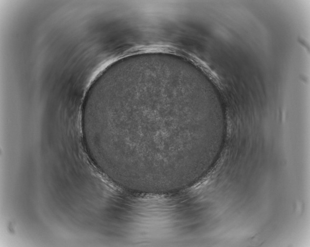 X0000096491174200802071936