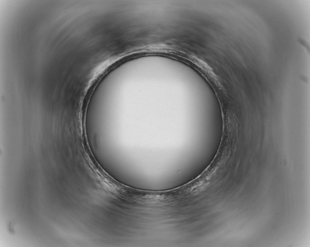 X0000096491176200802071936