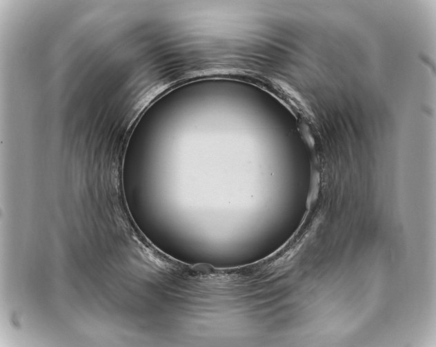 X0000096491177200802071936