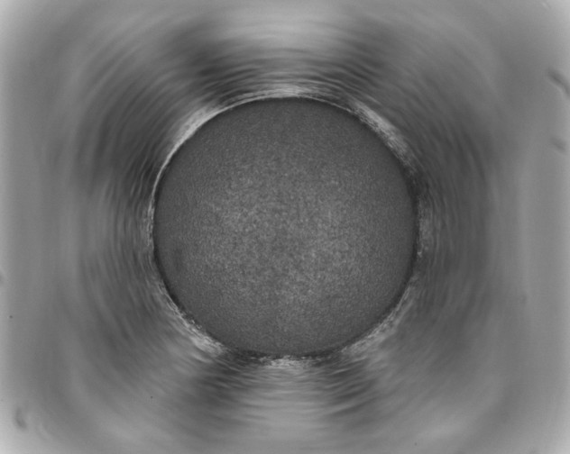 X0000096491178200802071936