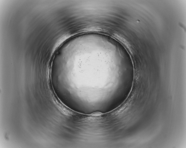 X0000096491179200802071936