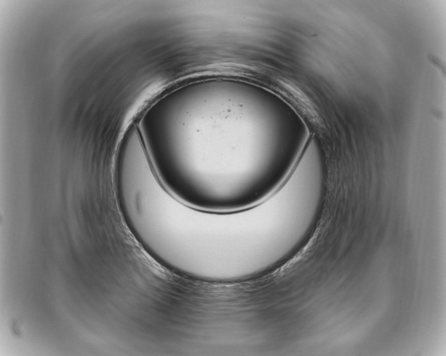 X0000096491180200802071935