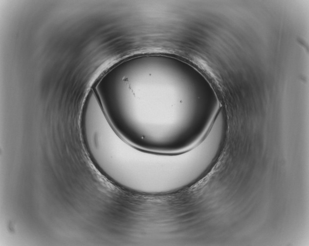 X0000096491181200802071935