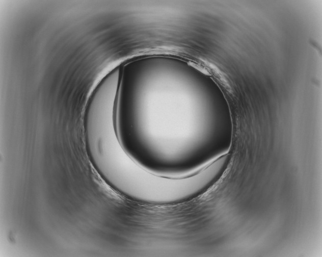 X0000096491184200802071935