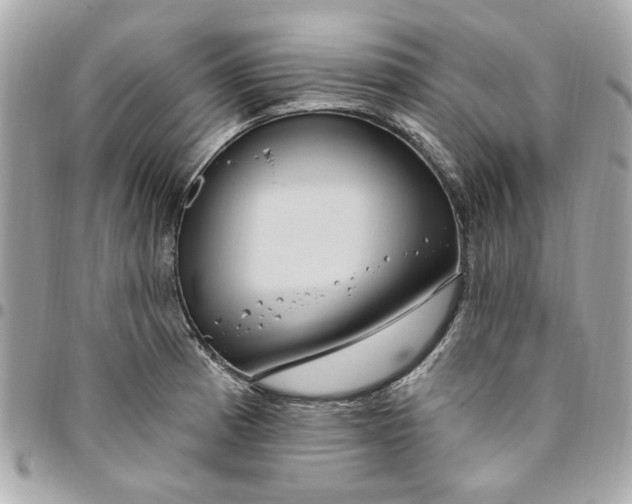 X0000096491185200802071935