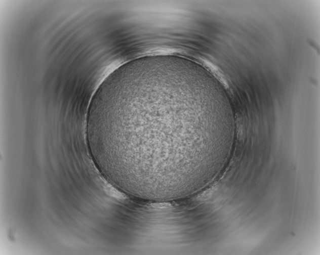 X0000096491186200802071935