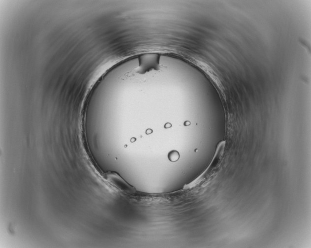 X0000096491187200802071935